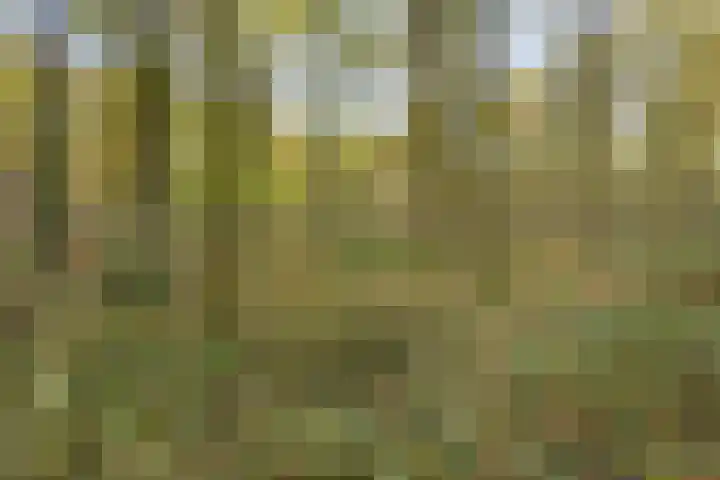 Gemmadal 14 Venray thumbnail 40