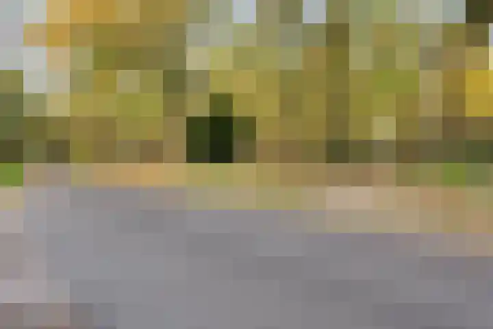 Gemmadal 14 Venray thumbnail 41