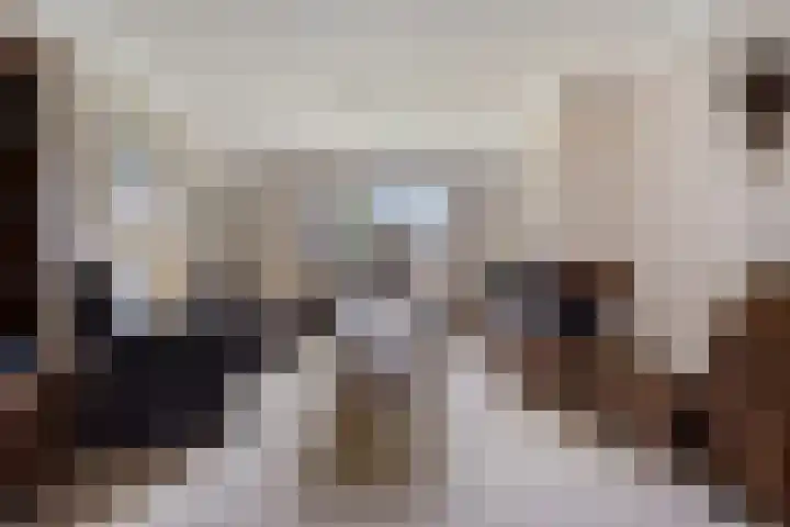 Gemmadal 14 Venray thumbnail 6