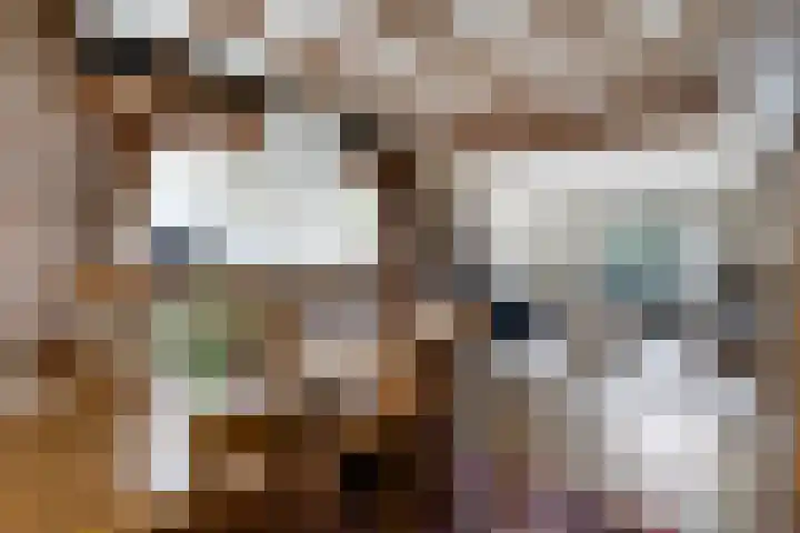 Gemmadal 14 Venray thumbnail 8