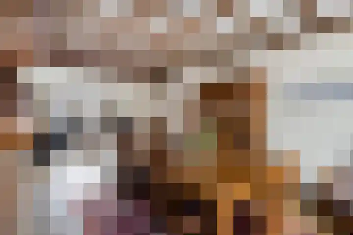 Gemmadal 14 Venray thumbnail 9