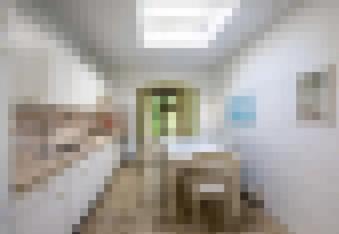 Gemmadal 8 Venray thumbnail 17