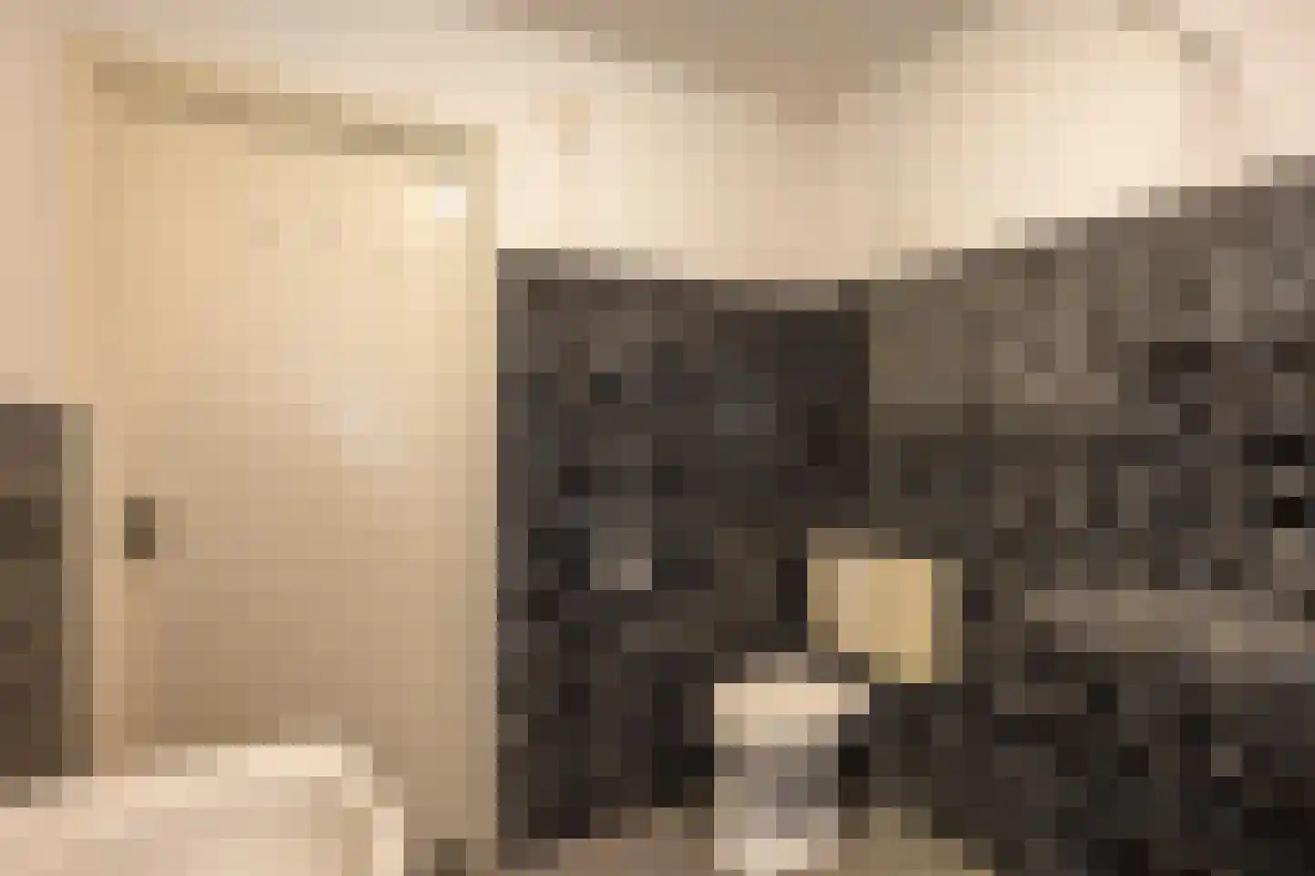 Gemmadal 8 Venray thumbnail 25