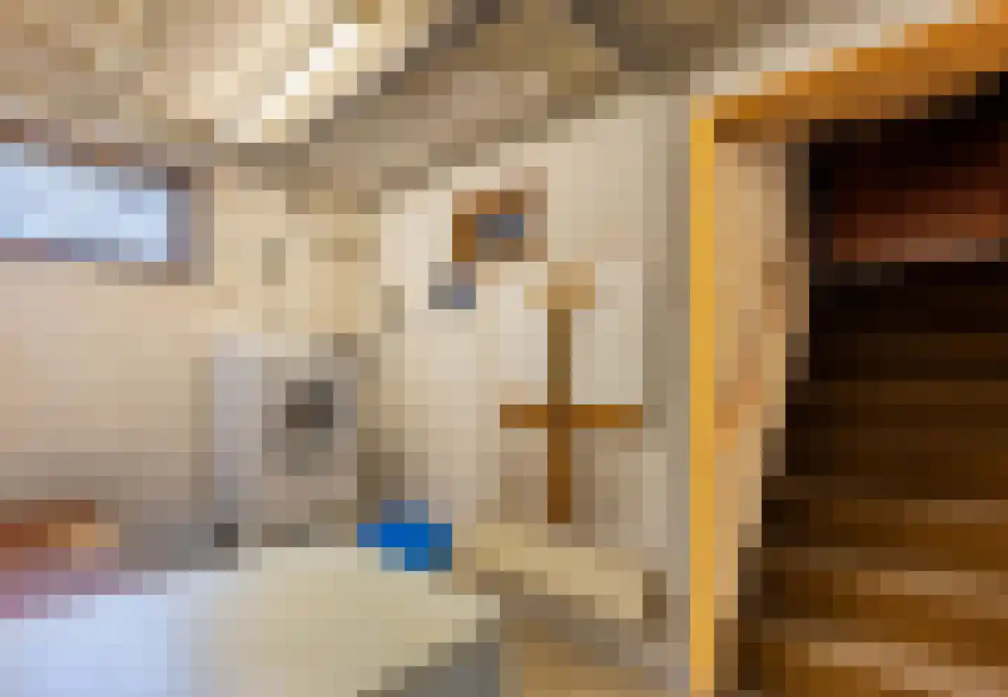 Gemmadal 8 Venray thumbnail 32