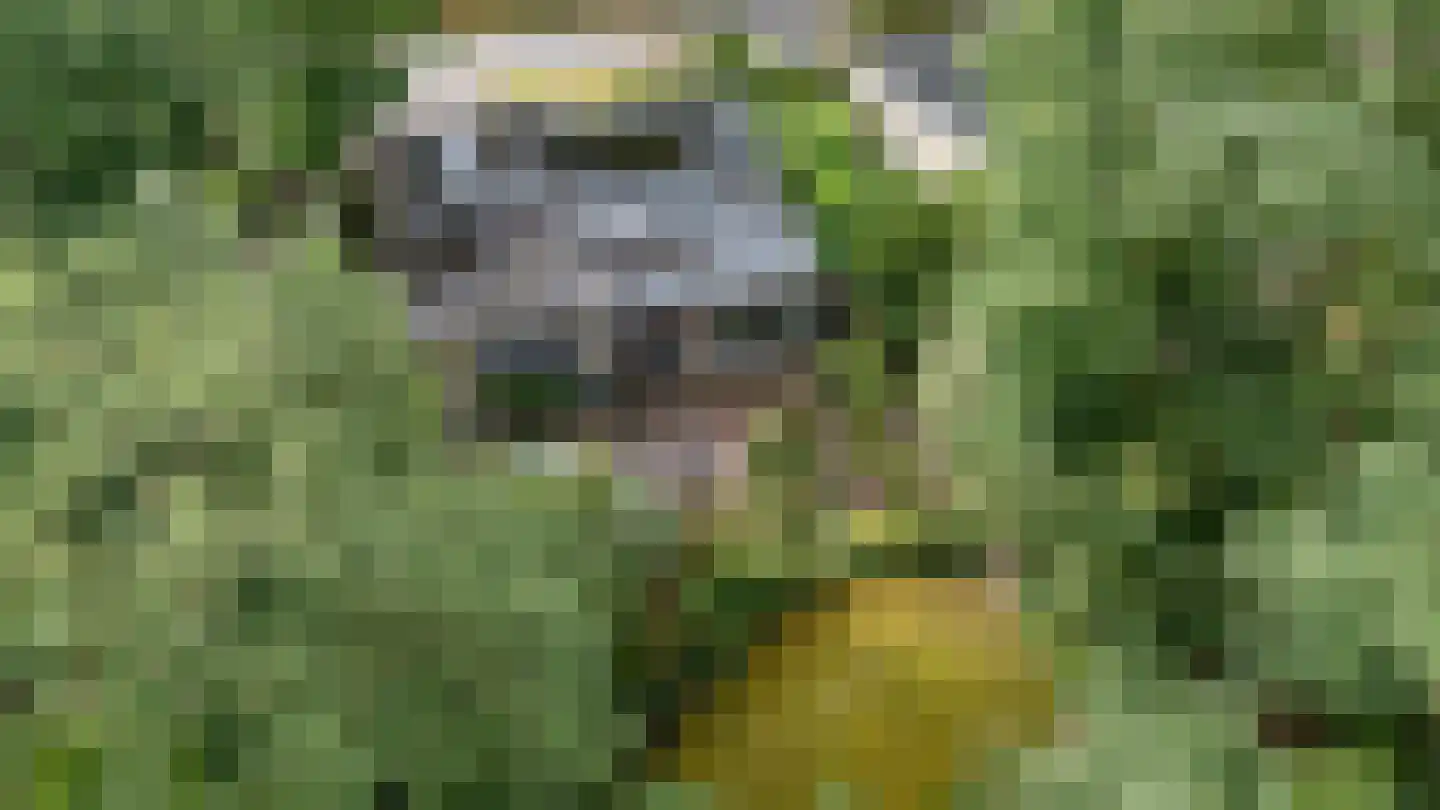 Gemmadal 8 Venray thumbnail 34