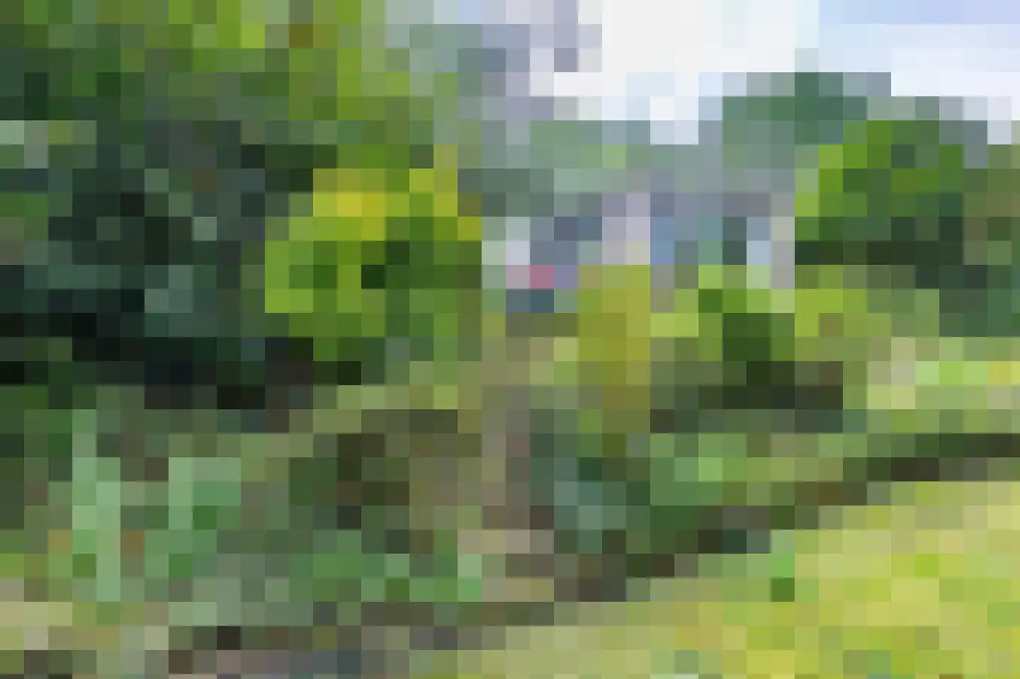 Gemmadal 8 Venray thumbnail 36