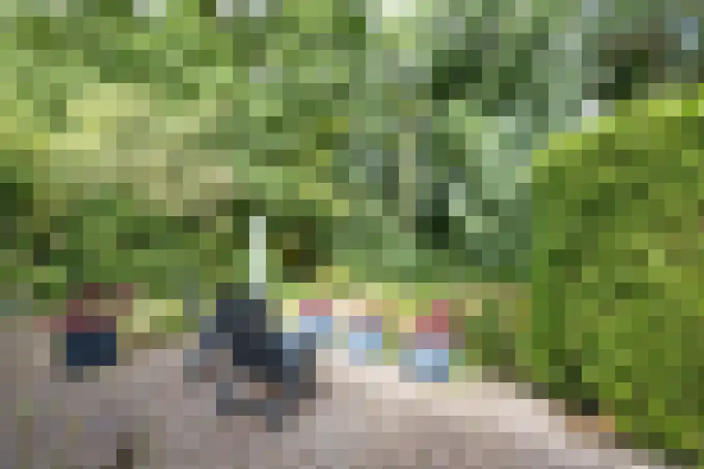 Gemmadal 8 Venray thumbnail 39