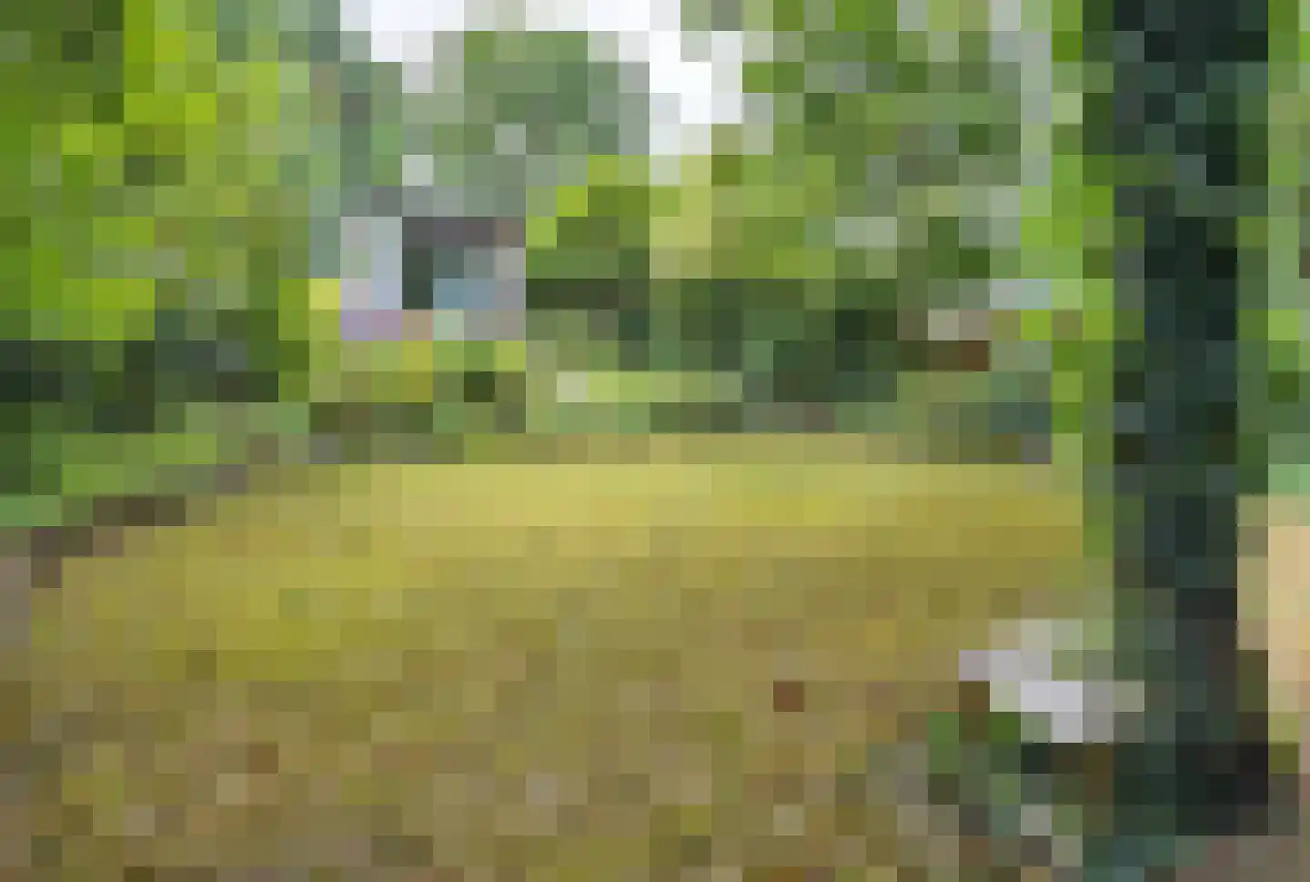 Gemmadal 8 Venray thumbnail 41