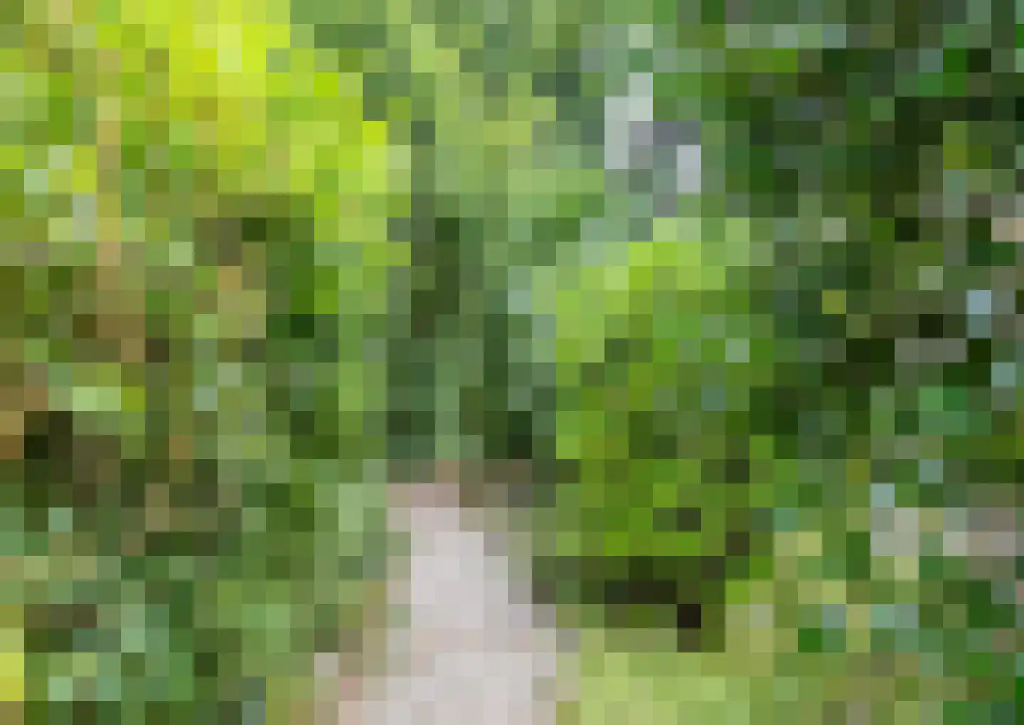Gemmadal 8 Venray thumbnail 44