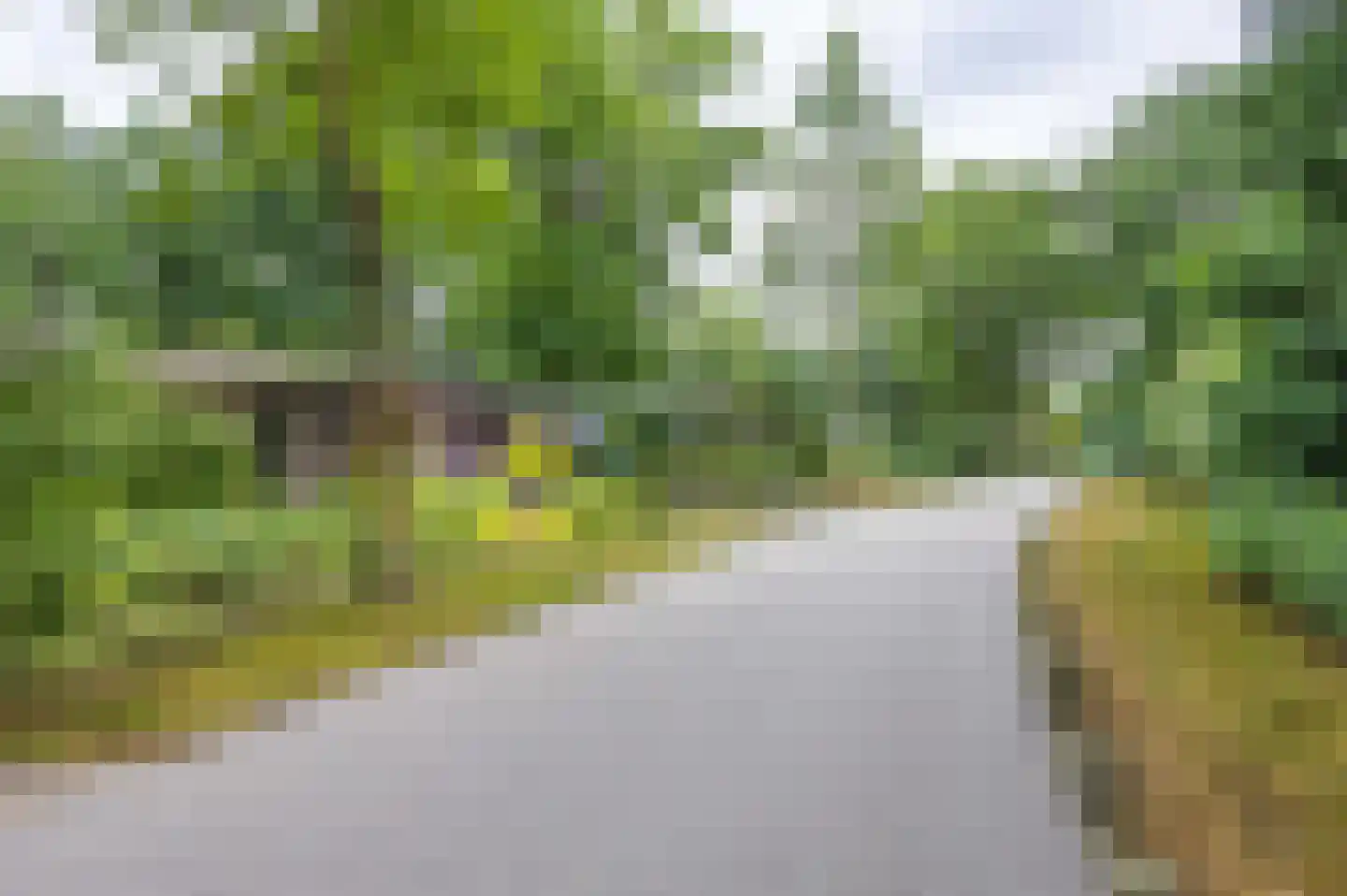 Gemmadal 8 Venray thumbnail 45