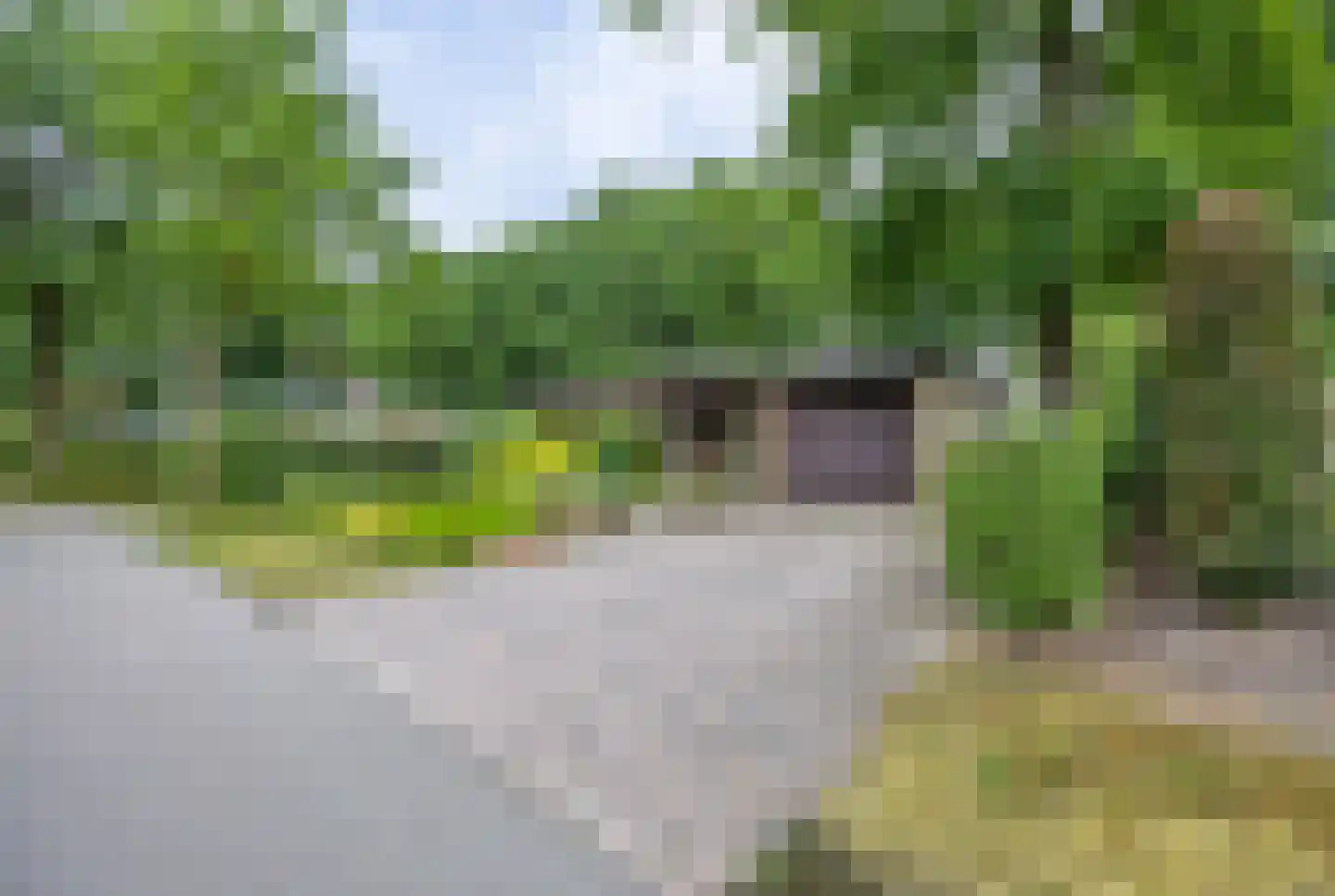 Gemmadal 8 Venray thumbnail 46