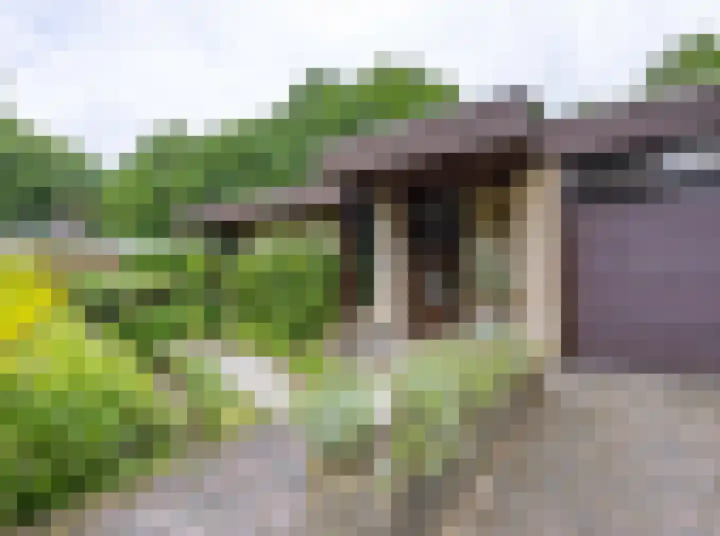 Gemmadal 8 Venray thumbnail 5