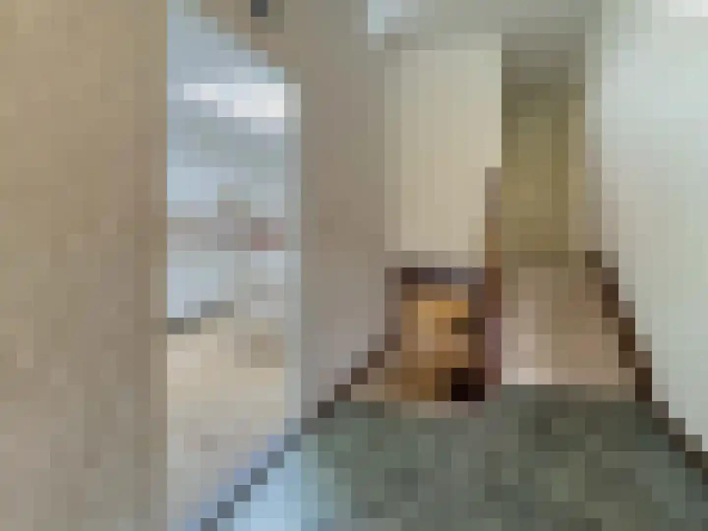 Gemmadal 8 Venray thumbnail 7