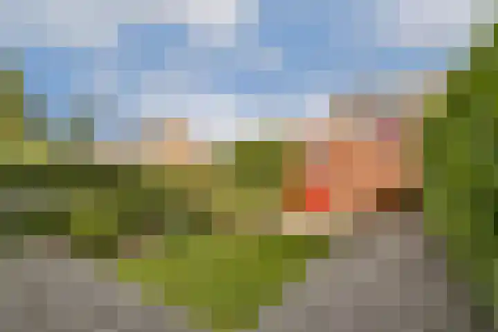 Gemmahof 25 Dordrecht thumbnail 14