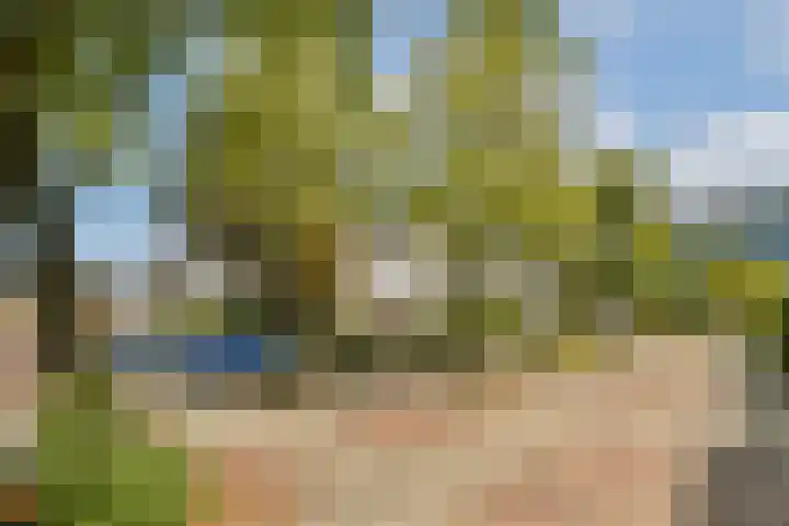 Gemmahof 25 Dordrecht thumbnail 32
