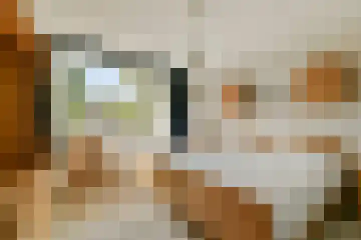 Gemmahof 25 Dordrecht thumbnail 4