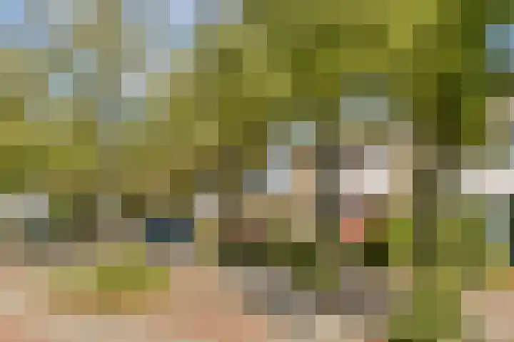 Gemmahof 25 Dordrecht thumbnail 7