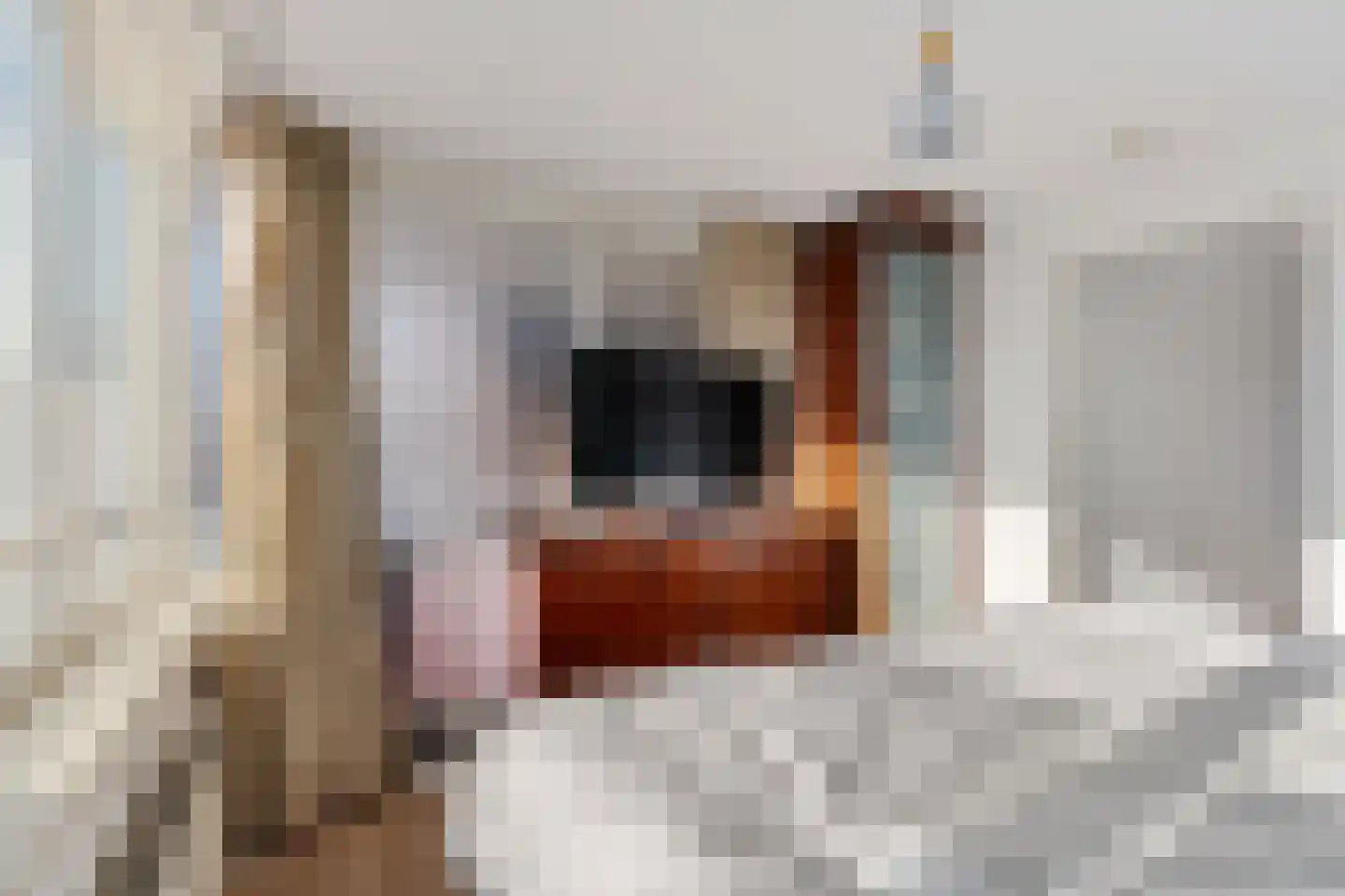 Gemmastraat 31 Eindhoven thumbnail 12