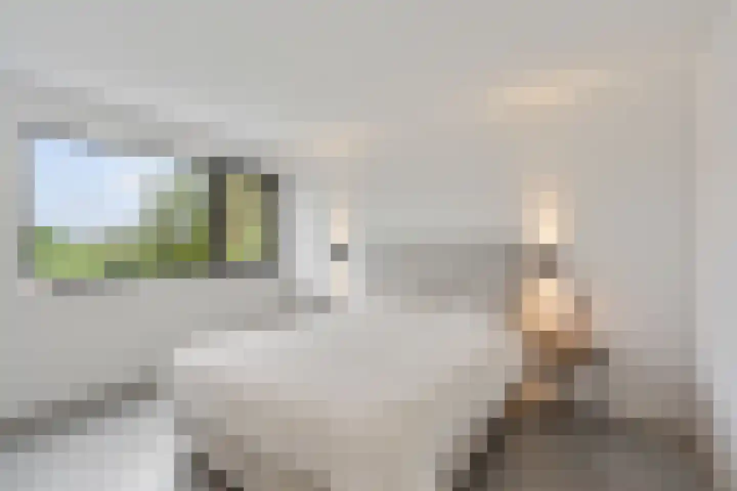Gemmenicherweg 14 Vaals thumbnail 25