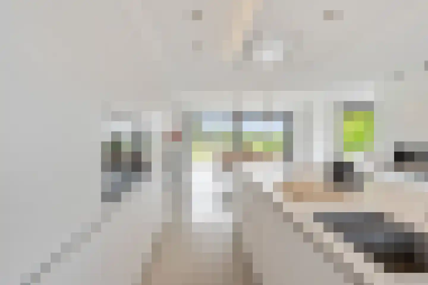 Gemmenicherweg 14 Vaals thumbnail 7