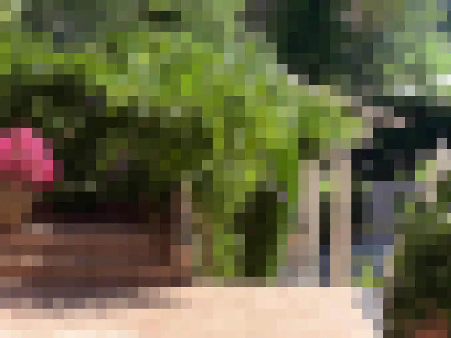 Gemmenicherweg 65 Vaals thumbnail 26