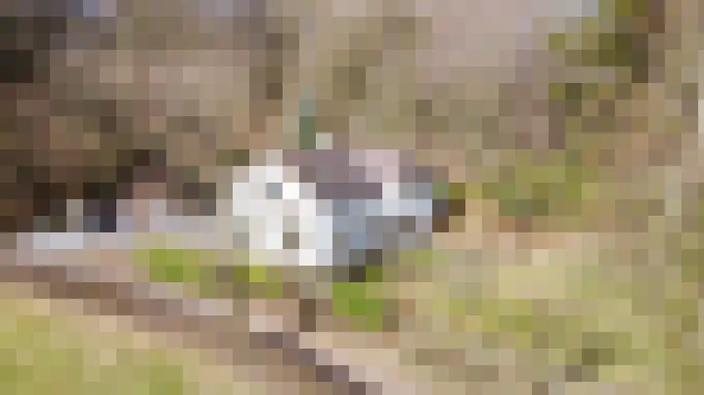 Gemmenicherweg 65 Vaals thumbnail 36