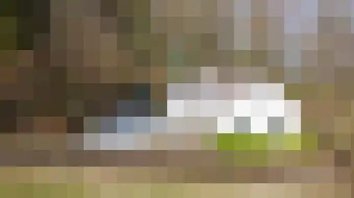 Gemmenicherweg 65 Vaals thumbnail 37