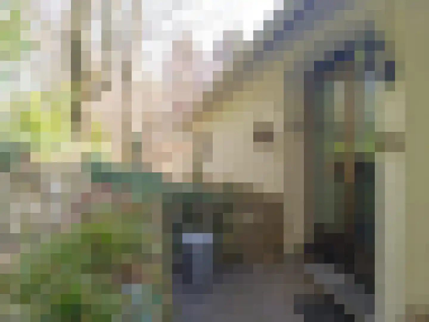 Gemmenicherweg 65 Vaals thumbnail 4