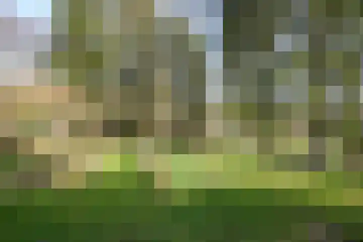 Gemmenicherweg 65 Vaals thumbnail 44