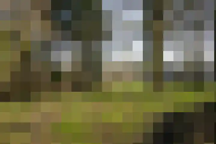 Gemmenicherweg 65 Vaals thumbnail 45