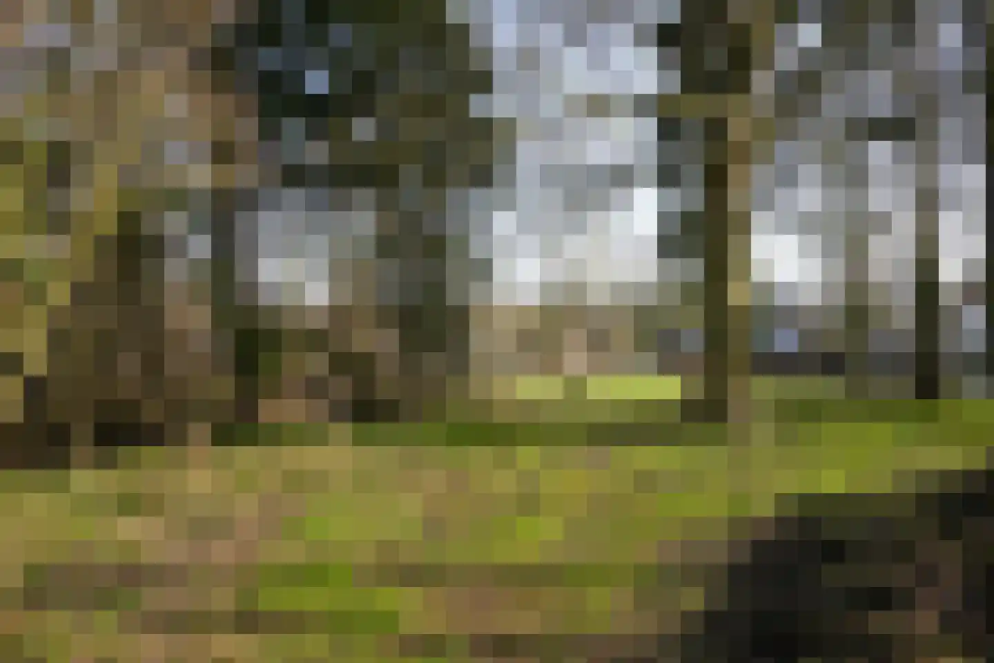 Gemmenicherweg 65 Vaals thumbnail 45