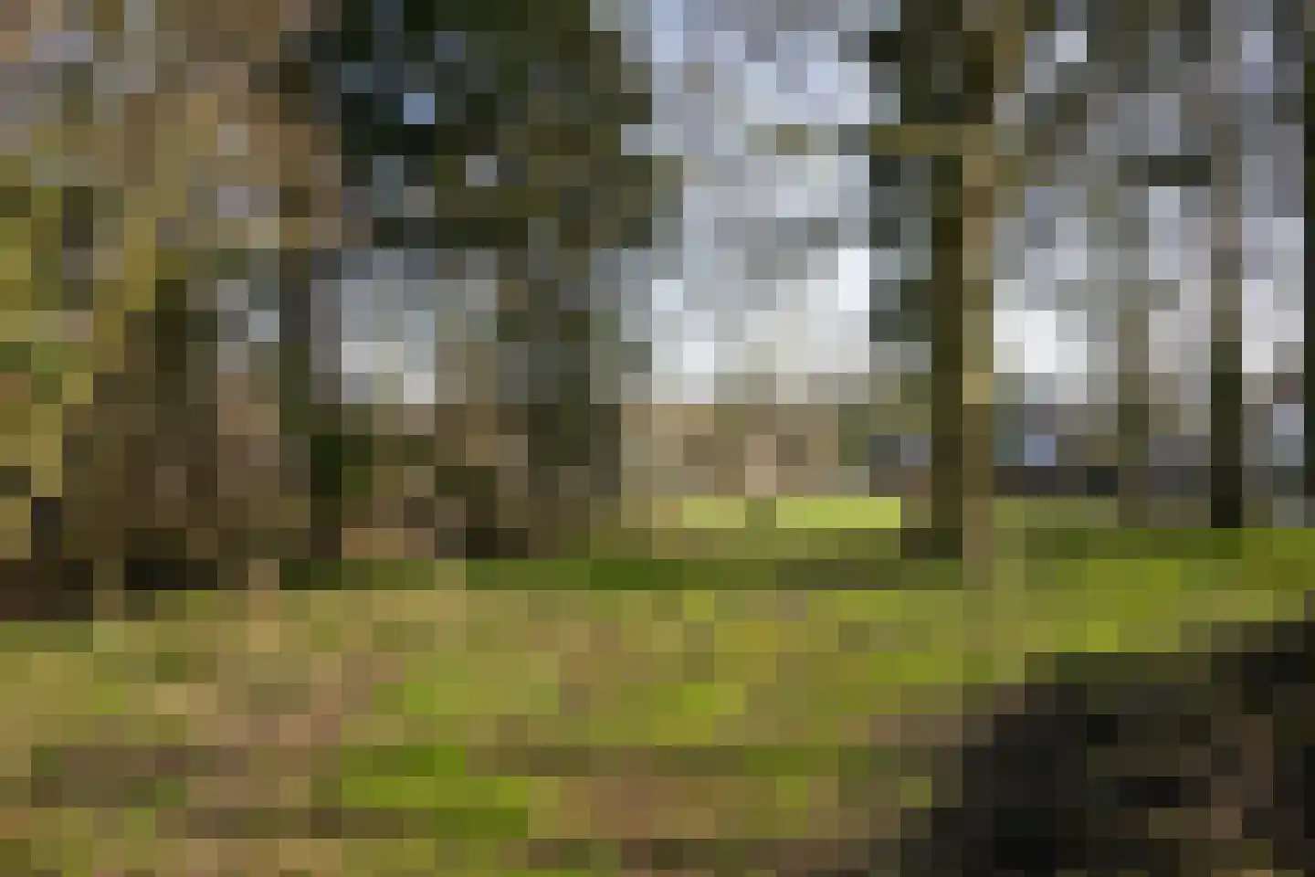 Gemmenicherweg 65 Vaals thumbnail 45