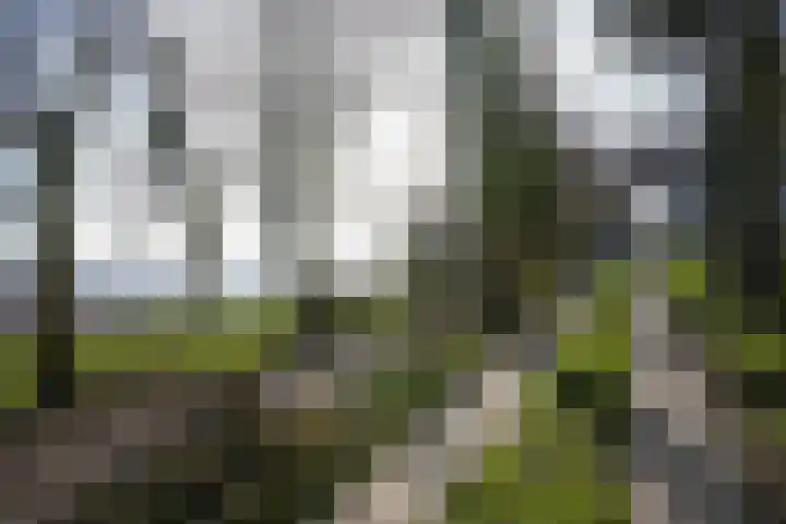 Gemmenicherweg 65 Vaals thumbnail 48