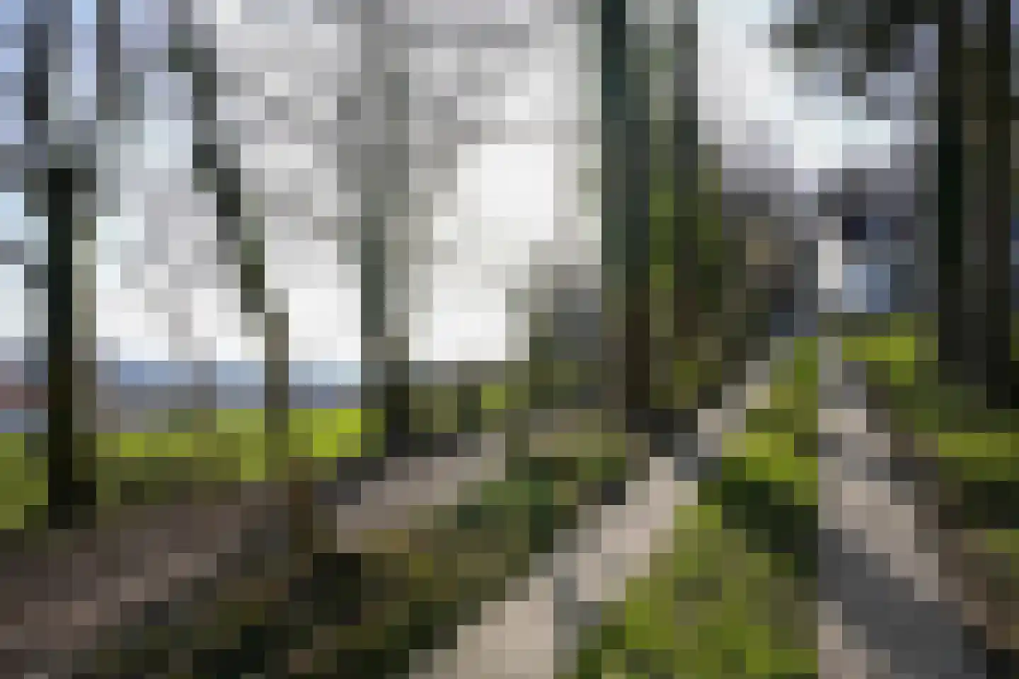 Gemmenicherweg 65 Vaals thumbnail 48
