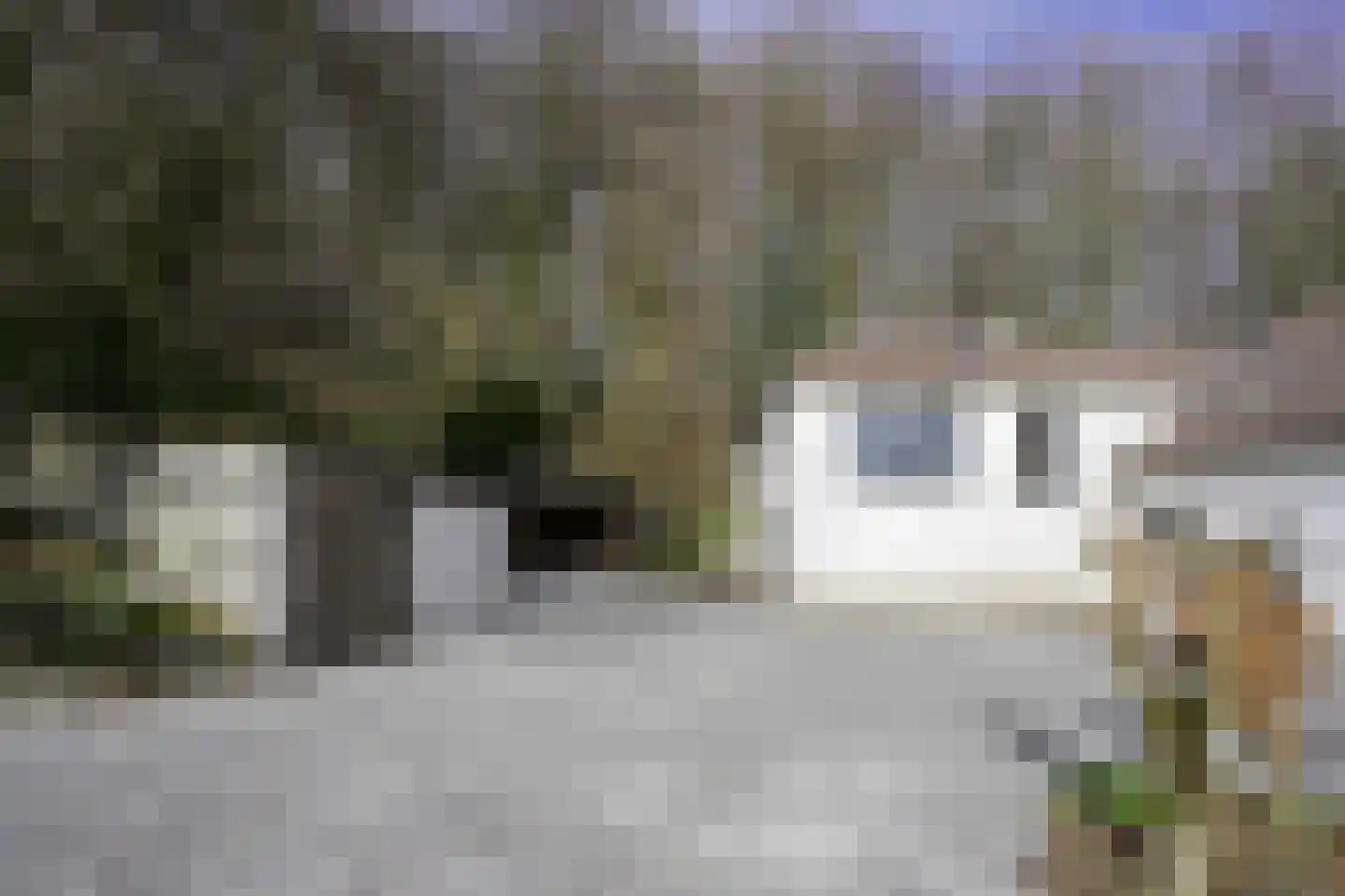 Gemmenicherweg 65 Vaals thumbnail 51
