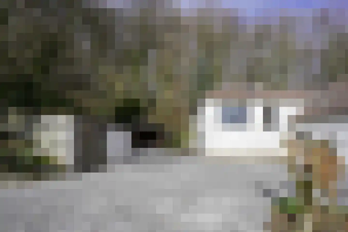 Gemmenicherweg 65 Vaals thumbnail 51