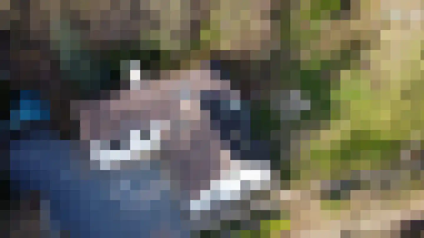 Gemmenicherweg 65 Vaals thumbnail 55