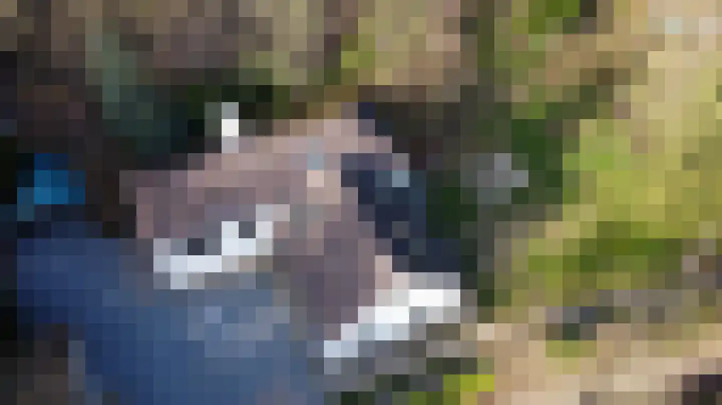 Gemmenicherweg 65 Vaals thumbnail 55