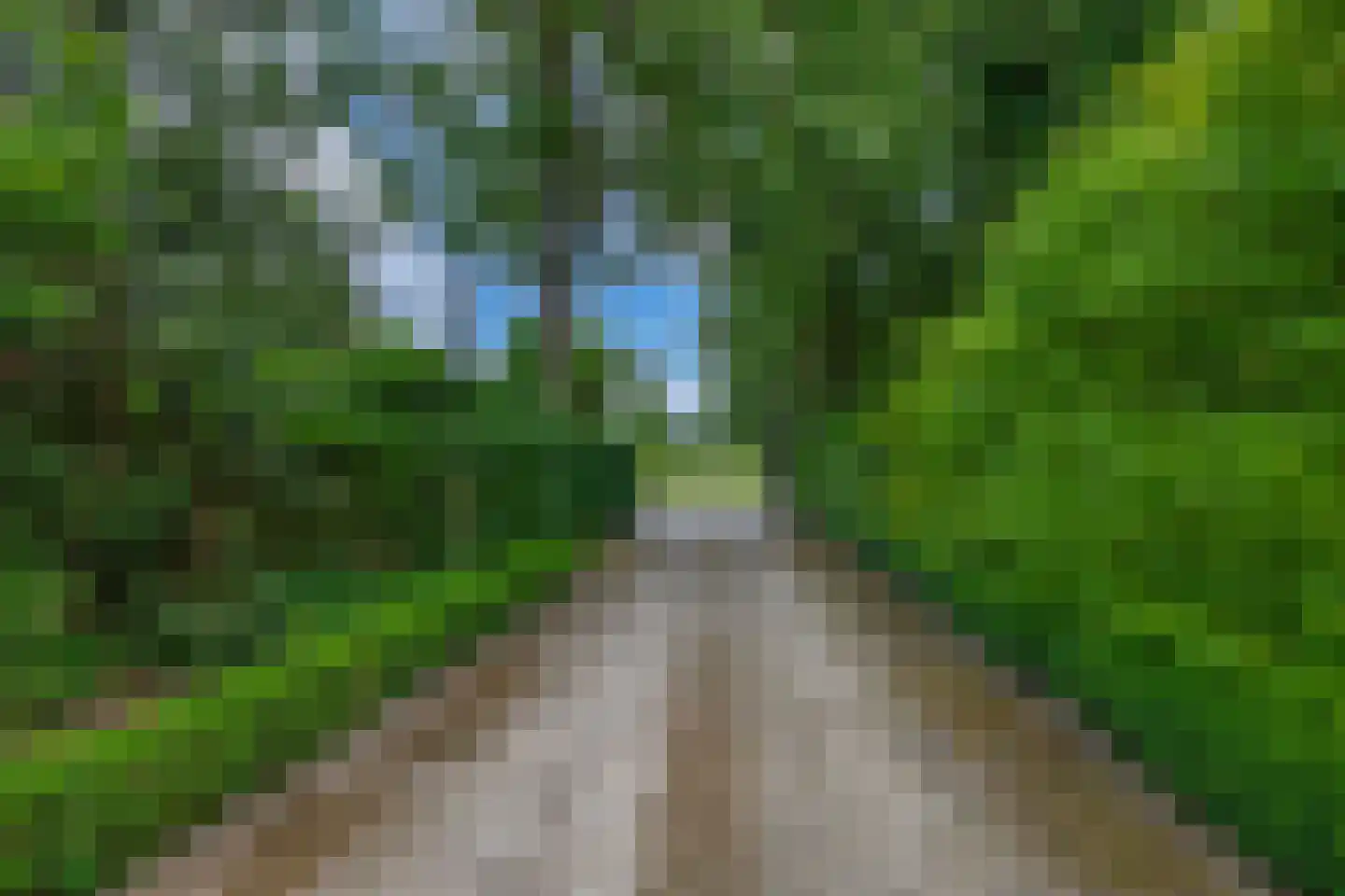 Gemondesestraat 21 Liempde thumbnail 100