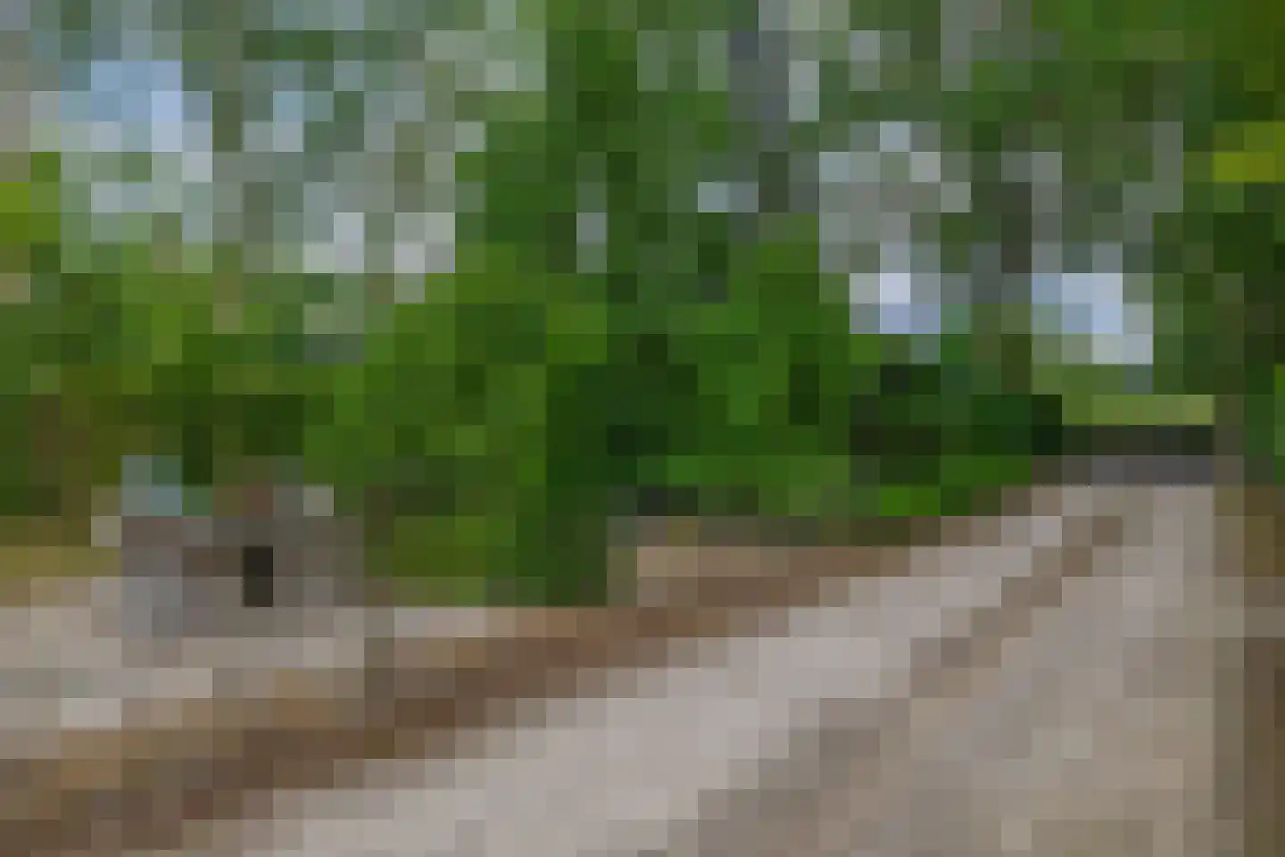 Gemondesestraat 21 Liempde thumbnail 102