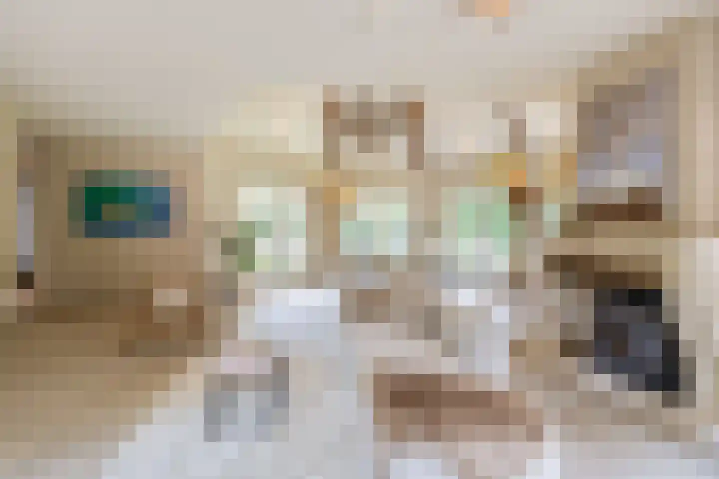 Gemondesestraat 21 Liempde thumbnail 11