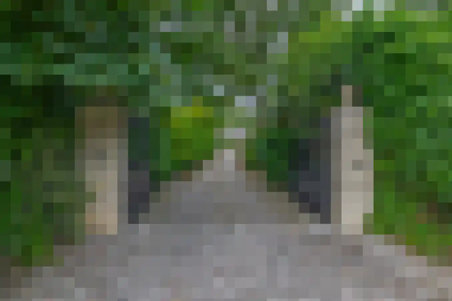 Gemondesestraat 21 Liempde thumbnail 116