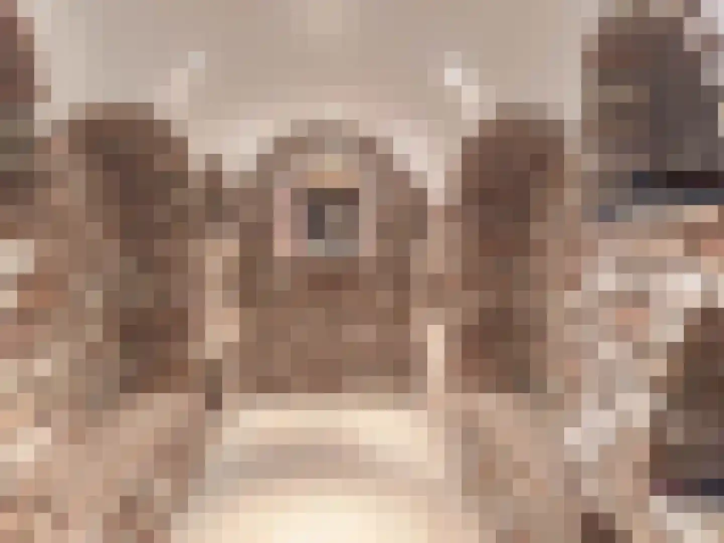 Gemondesestraat 21 Liempde thumbnail 18