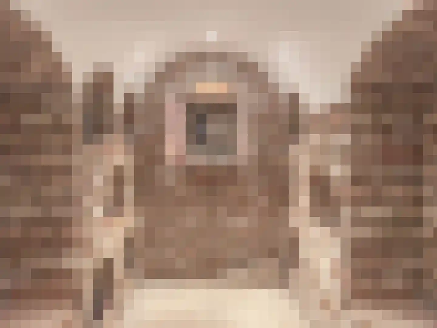 Gemondesestraat 21 Liempde thumbnail 19
