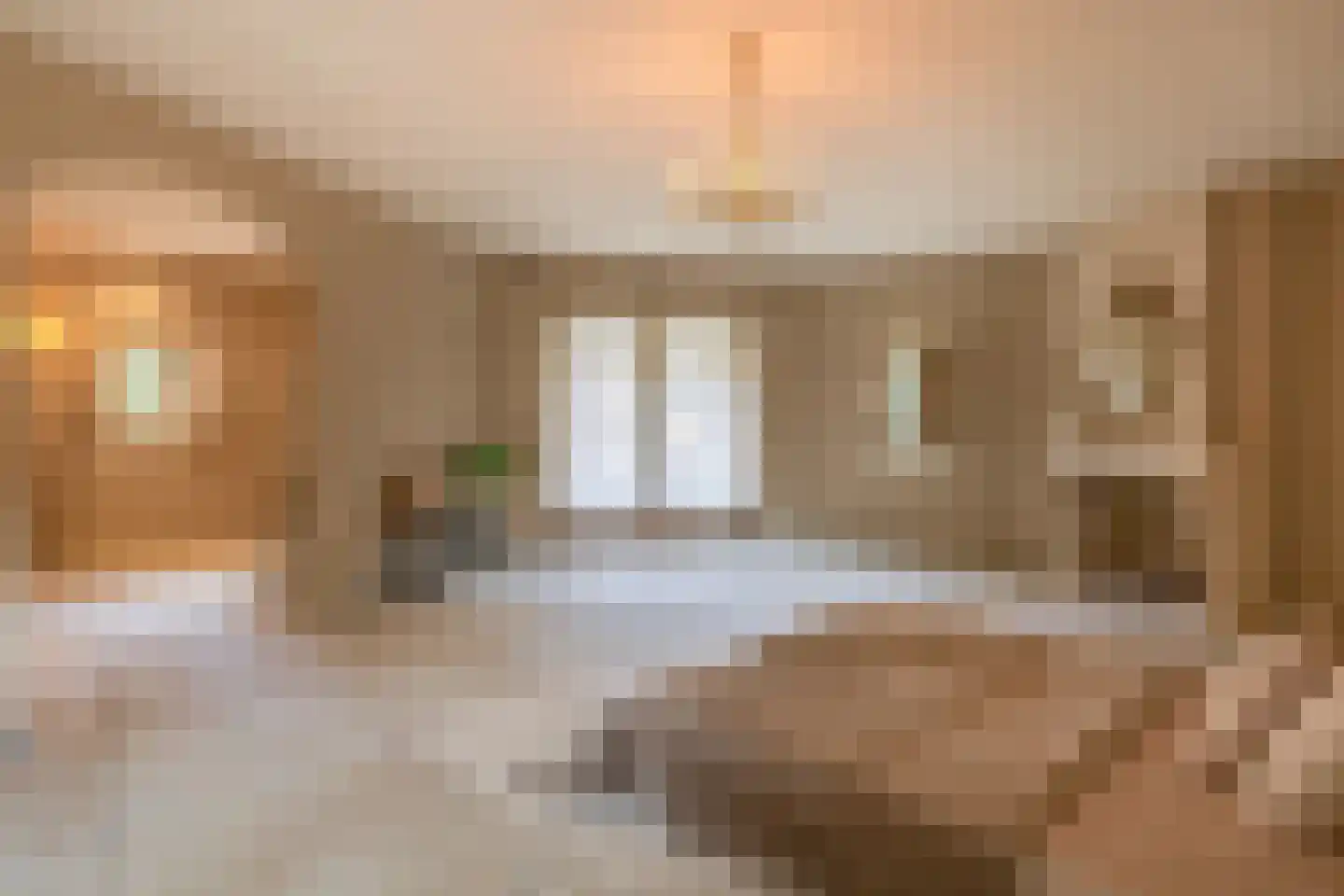 Gemondesestraat 21 Liempde thumbnail 34