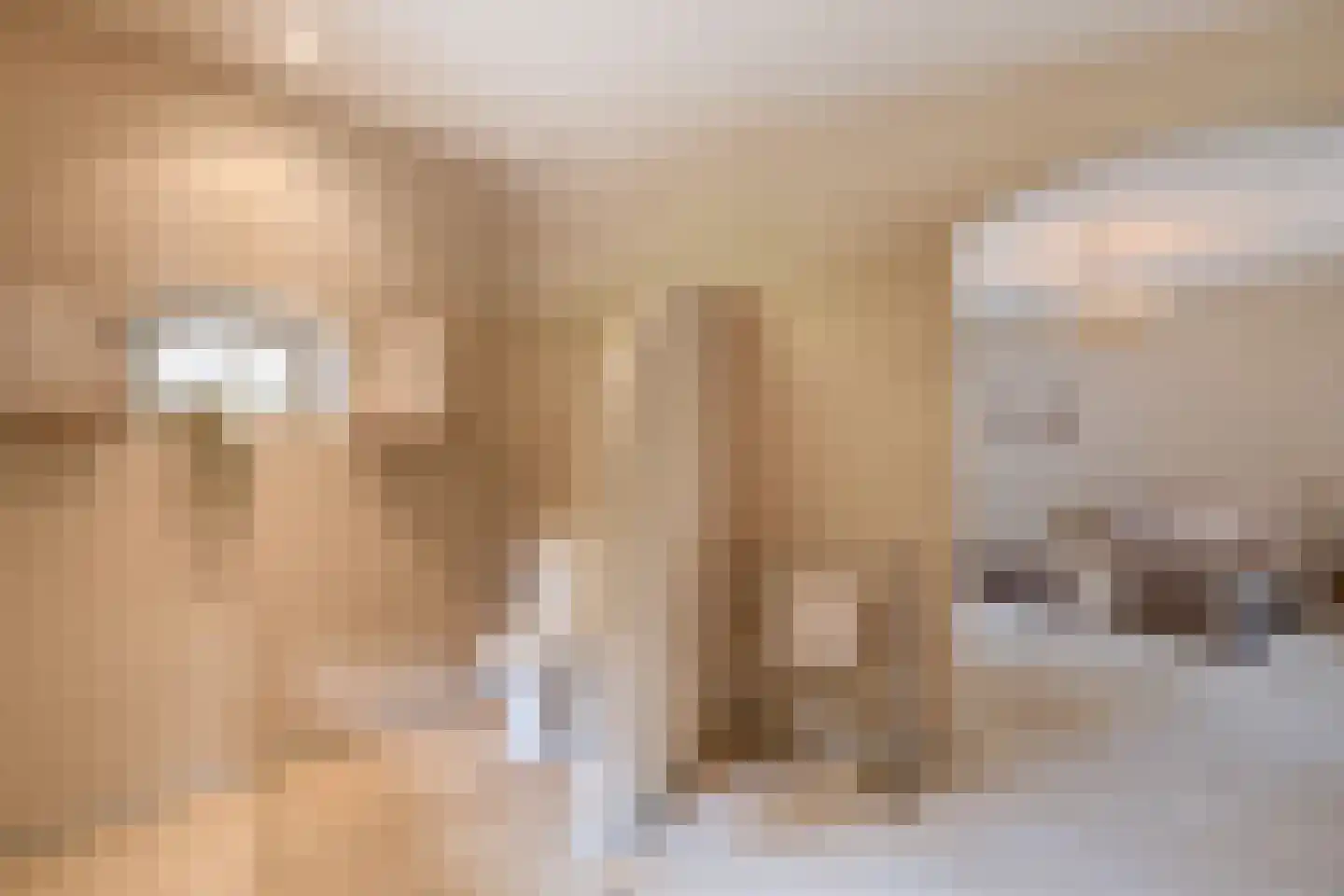 Gemondesestraat 21 Liempde thumbnail 36