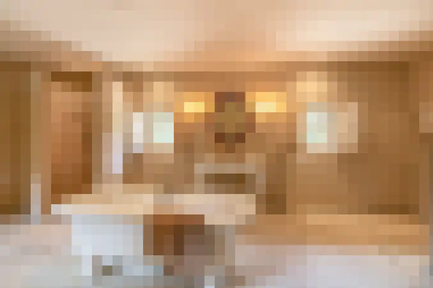 Gemondesestraat 21 Liempde thumbnail 37