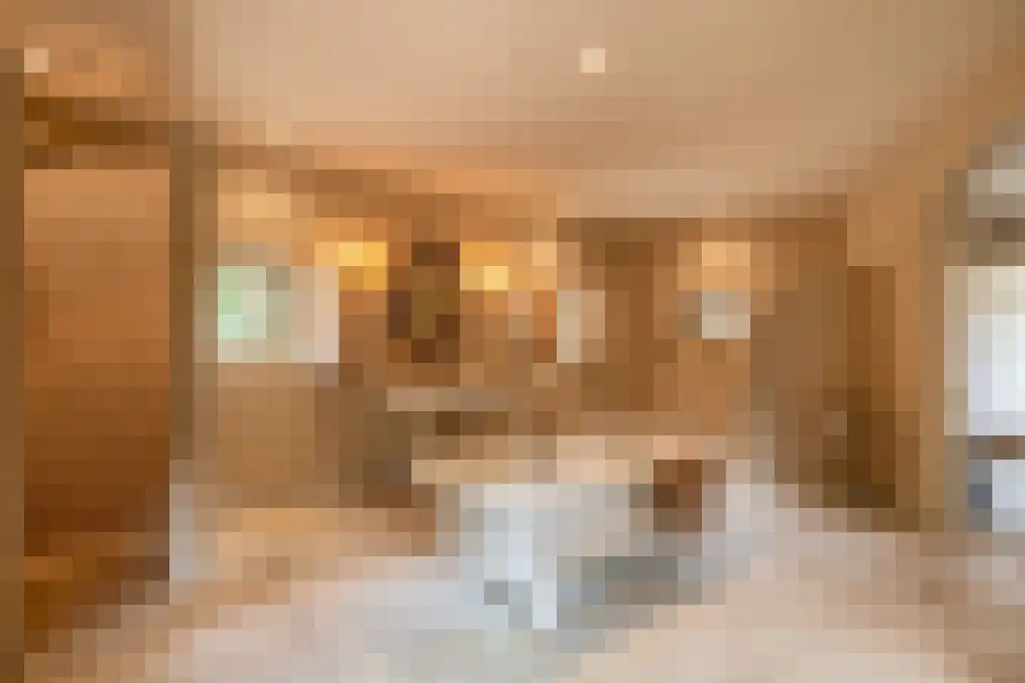 Gemondesestraat 21 Liempde thumbnail 38