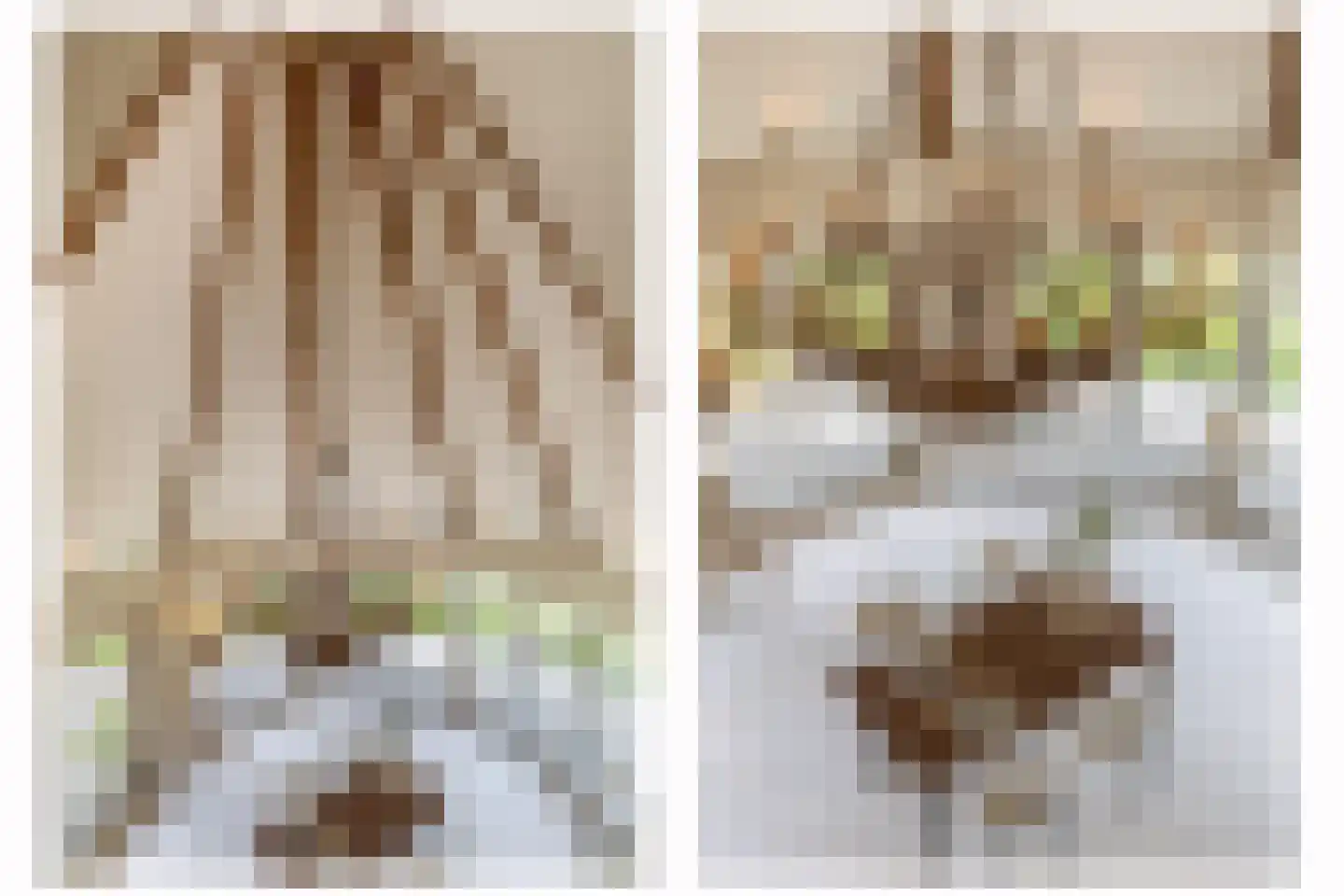 Gemondesestraat 21 Liempde thumbnail 51