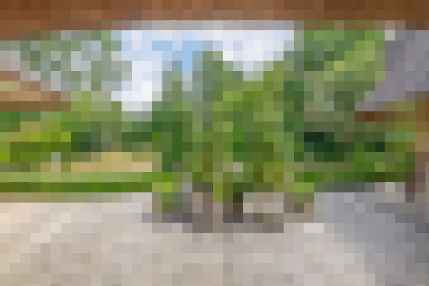 Gemondesestraat 21 Liempde thumbnail 58